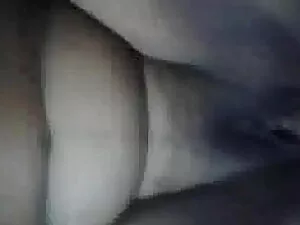 एक कॉकसॉकिंग संकलन स ...