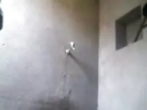 परम एचडी सेक्सी हिंद ...