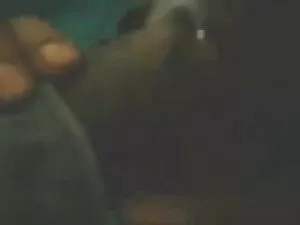 फंसे हुए यूरोपीय प्य ...