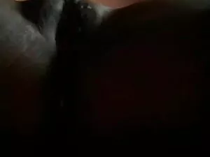 भालू, चूब और मालकिन  ...