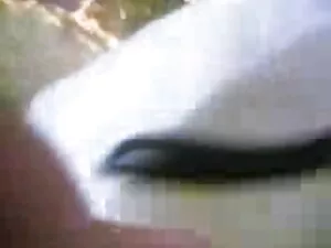 कट्टर - 706 सेक्सी फ ...