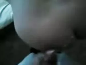 एम्बर लिन बाख - डॉगी ...