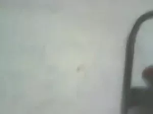 द्वि बड़ा मुर्गा मेर ...