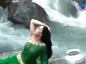 एक कॉकसॉकिंग संकलन ( ...