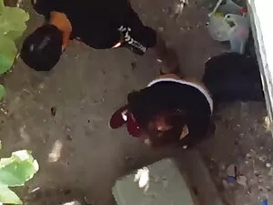 बूढ़े सफेद पुरुषों ह ...