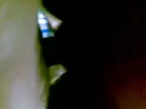 लिंडसे पेलास हिंदी स ...