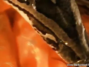 सेक्सी यूरोपीय फूहड़ ...