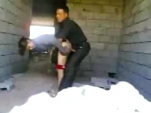 DMvideos गर्म एचडी स ...