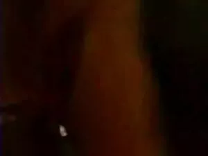 दो पालतू दास अपने मा ...