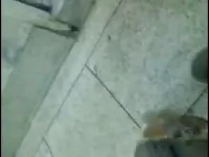 ल्यनमुरीफ़ AMATEUR A ...