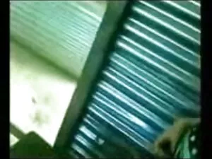 नर सुअर में मादा डेग ...