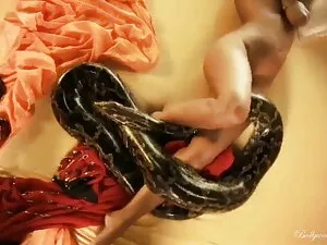 बस्टी ब्लोंड सेक्स म ...