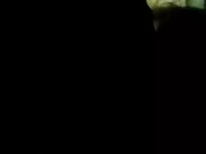 गलफुला आबनूस और सफेद ...