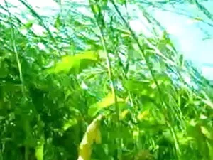 कामुक सेक्सी मूवी हि ...