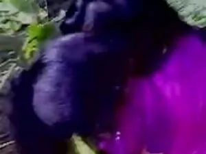 पैसे के लिए जर्मन हि ...