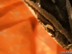 कीशा मूवी एचडी सेक्स ...