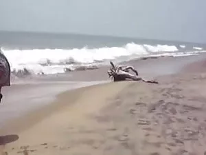 परिपक्व जर्मन बकवास  ...