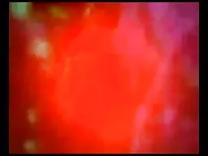 शरारती फूहड़ गड़बड़  ...