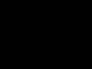 कारमेन फर्श पर गड़बड ...